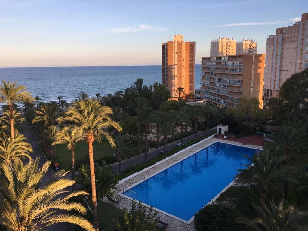 Alicante Plage Muchavista Vu Mer Piscine ,Wifi Kültér fotó