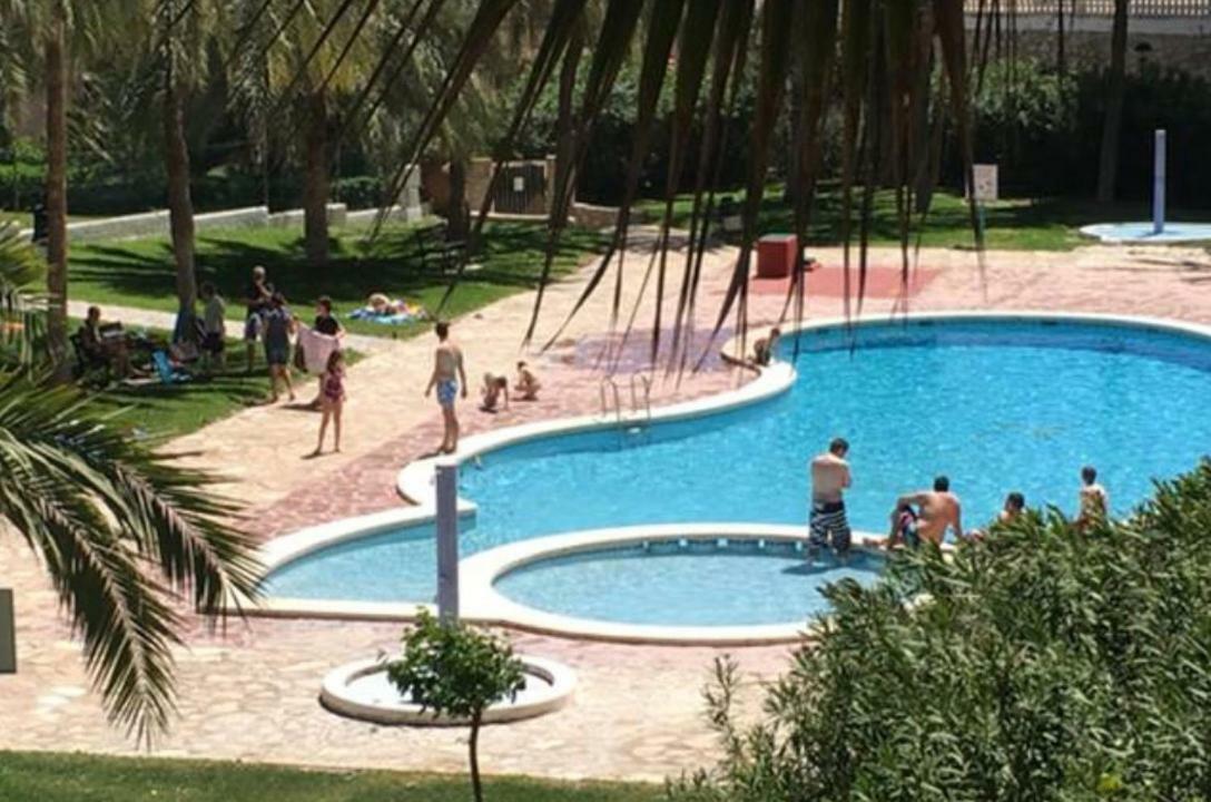 Alicante Plage Muchavista Vu Mer Piscine ,Wifi Kültér fotó